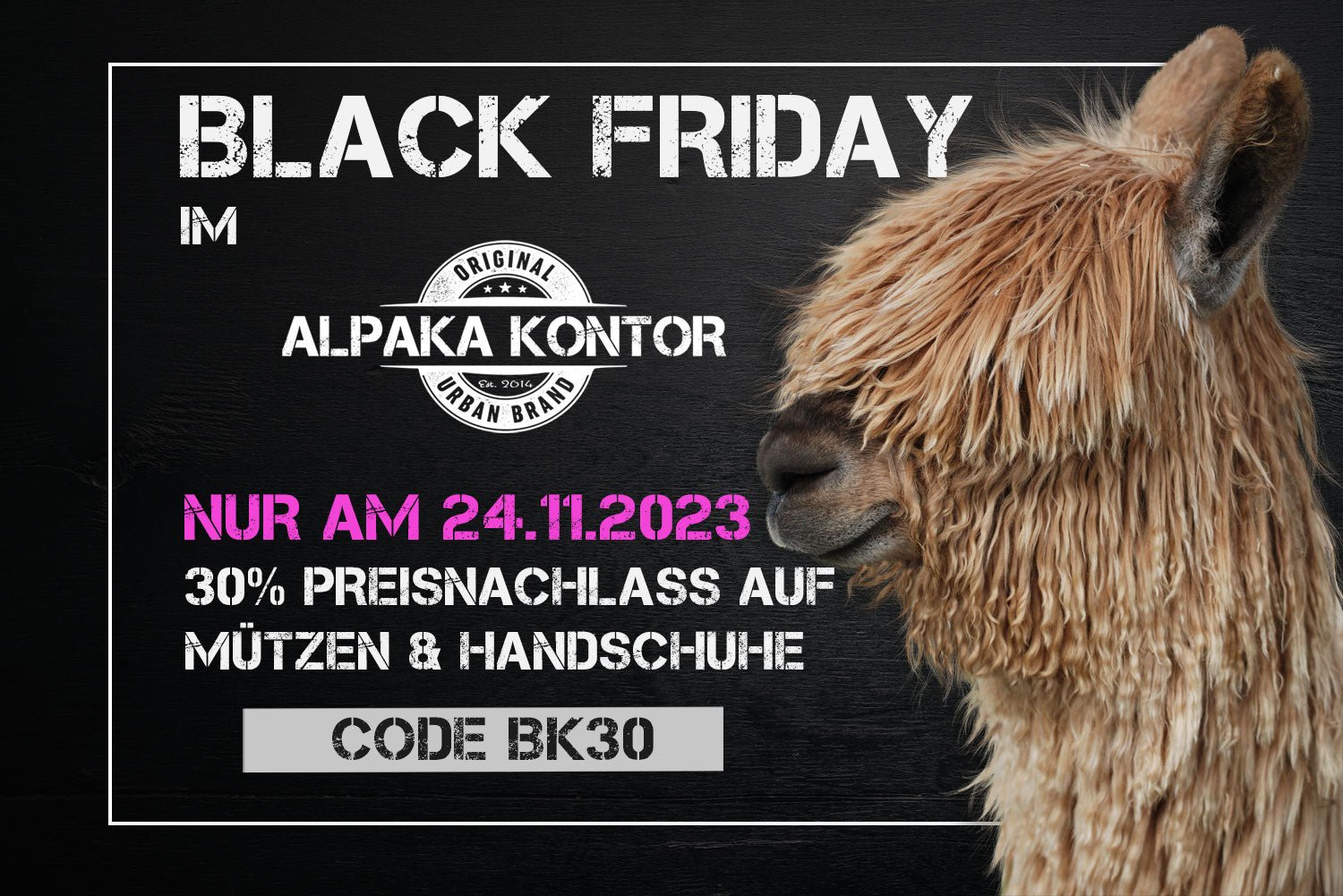 BLack Friday 2023 - Alpaka Kontor
